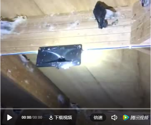 燕屋內部實拍講解