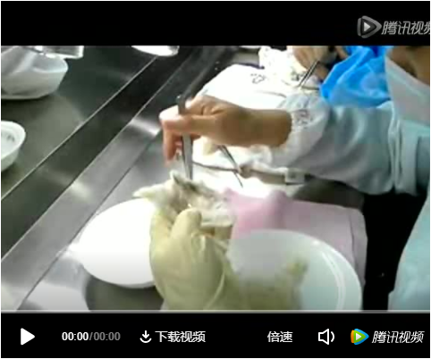 挑毛廠(chǎng)挑毛視頻