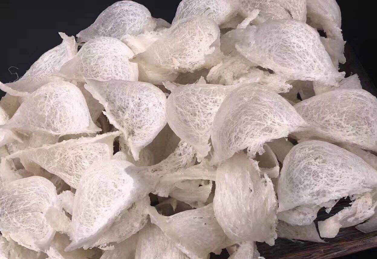 即食燕窩能加熱嗎？即食燕窩怎么加熱呢？
