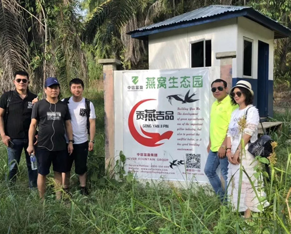 送一份優(yōu)質(zhì)投資計劃給您，讓您當燕屋農(nóng)場主人